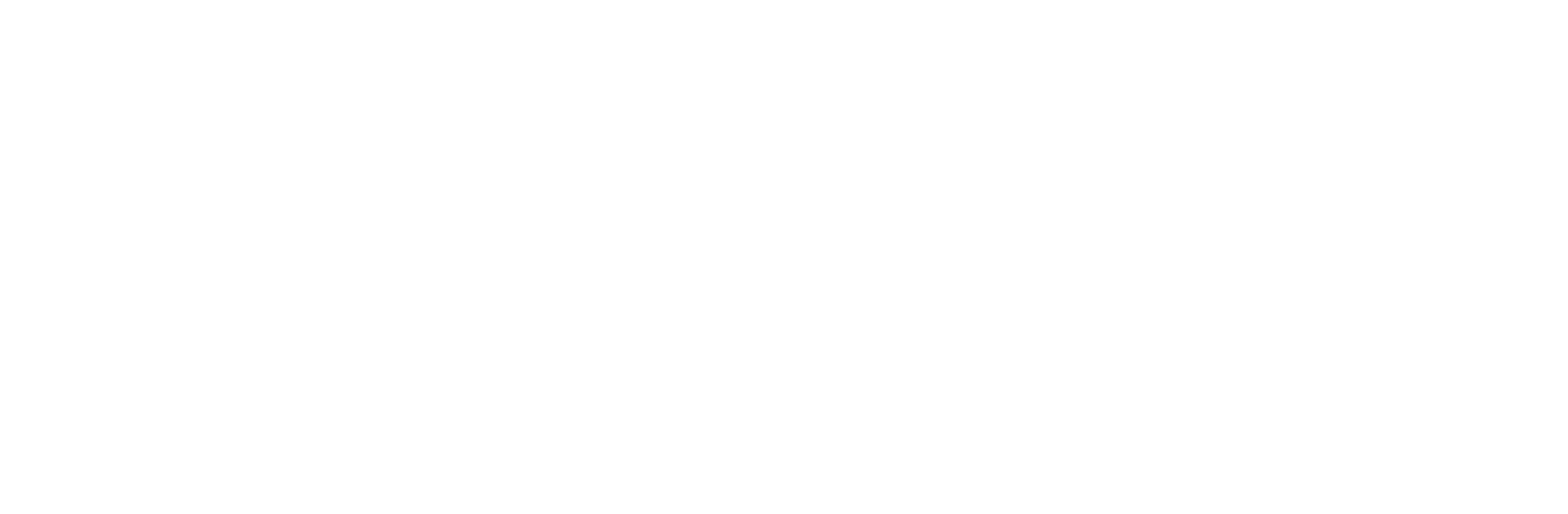 Animus Medicus logo